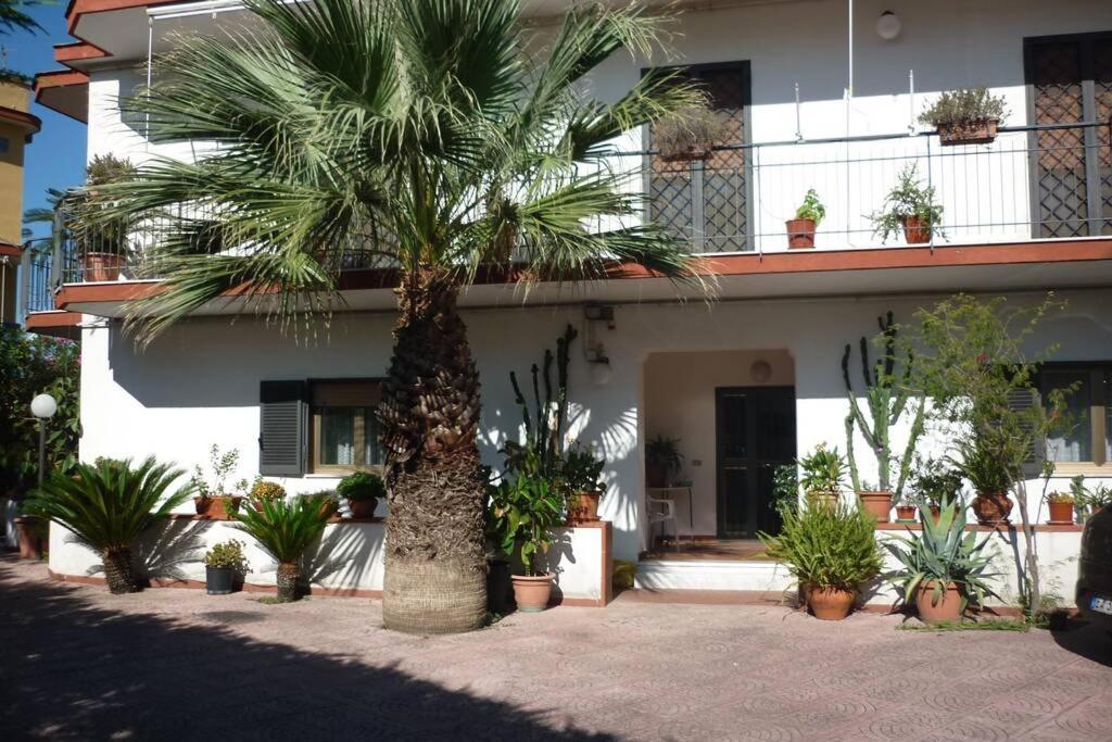 Ferienwohnung Casa Vesuvio Massa di Somma Exterior foto